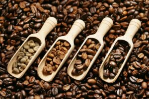 different types of Coffee Beans