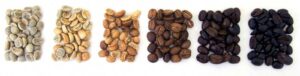 different types of coffee beans