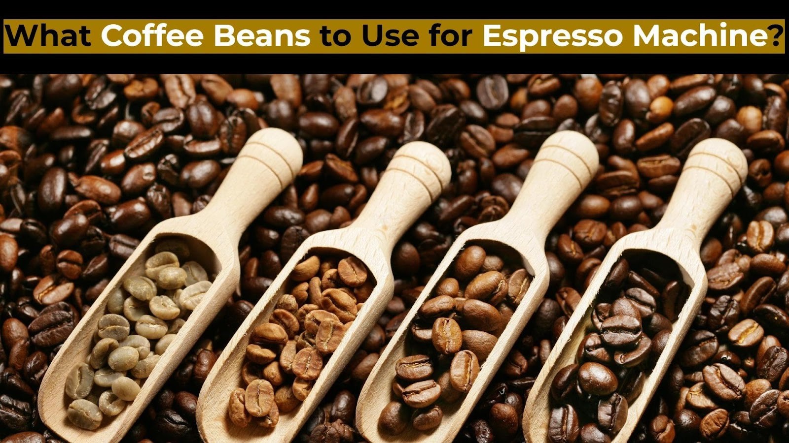 what coffee beans to use for espresso machine