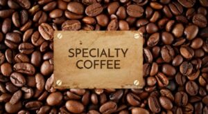 the Best Speciality Roasted Coffee beans